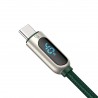 Baseus Display Cable USB to Type-C 5A 1m (green)