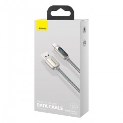 Baseus Display Cable USB to Type-C 5A 1m silver